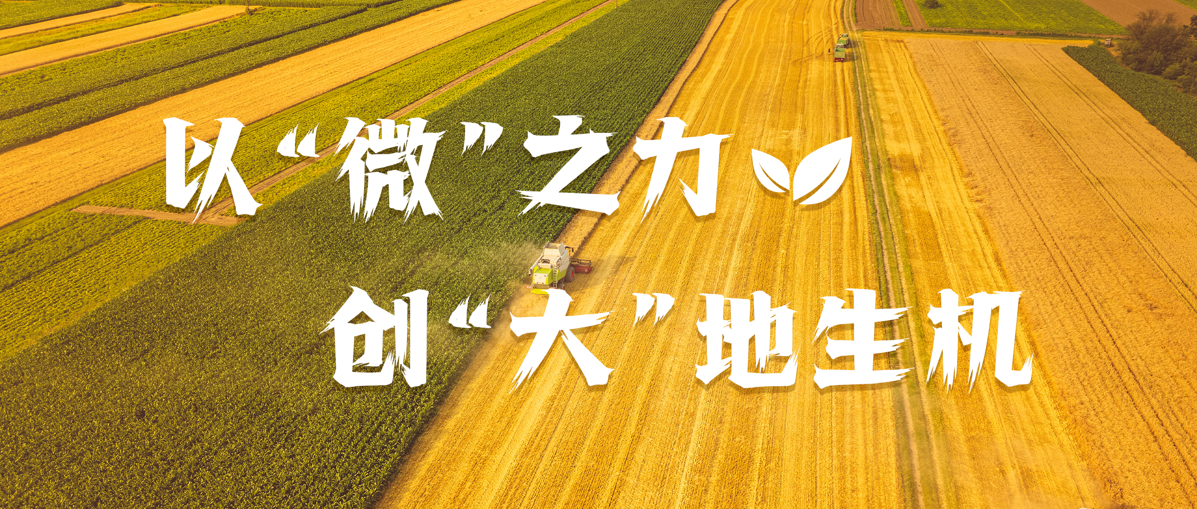 &#20048;&#40060;&#25163;&#26426;&#20837;&#21475;&#45;&#108;&#101;&#121;&#117;&#40;&#20013;&#22269;&#41;