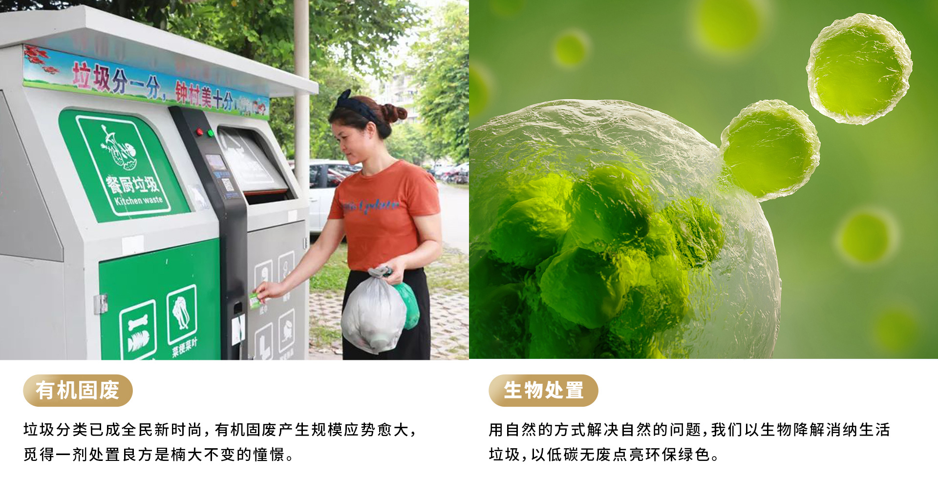 &#20048;&#40060;&#25163;&#26426;&#20837;&#21475;&#45;&#108;&#101;&#121;&#117;&#40;&#20013;&#22269;&#41;
